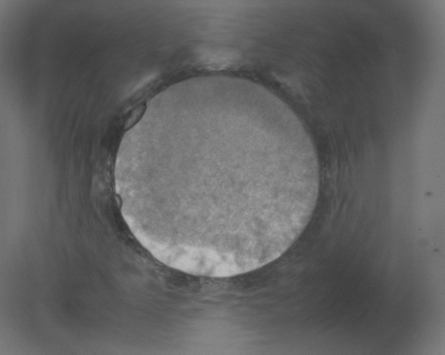 X0000080761349200701122018