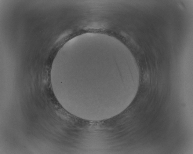 X0000080761350200701122018