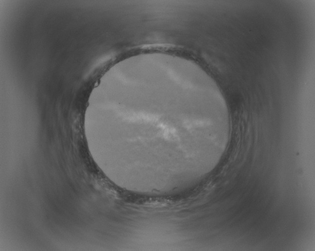 X0000080761351200701122018