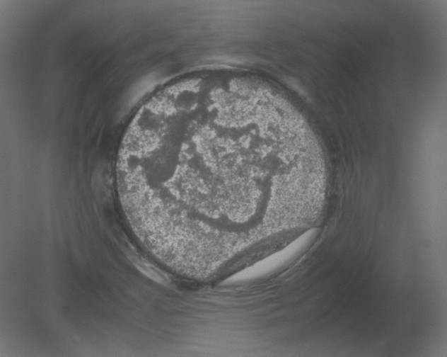 X0000080761355200701122018