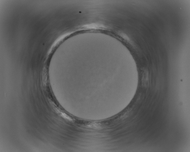 X0000080761358200701122018