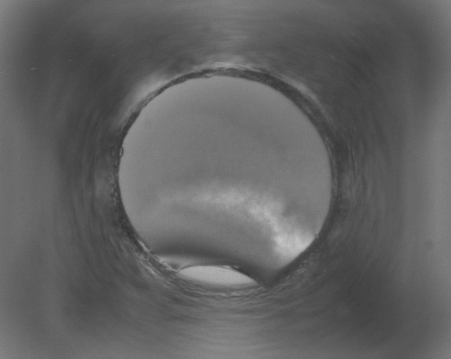 X0000080761359200701122018