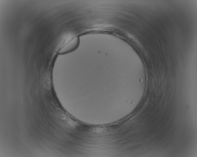 X0000080761362200701122018