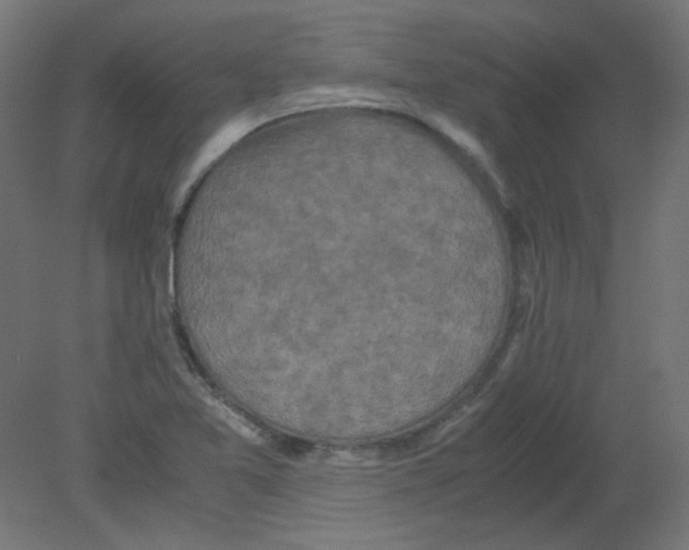 X0000080761365200701122018