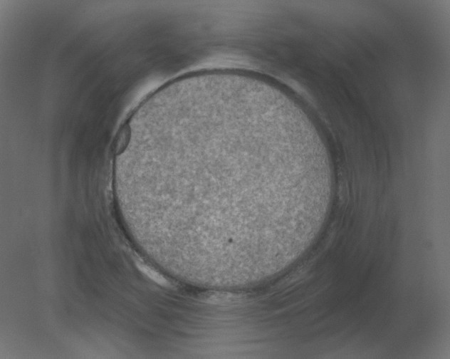 X0000080761366200701122018