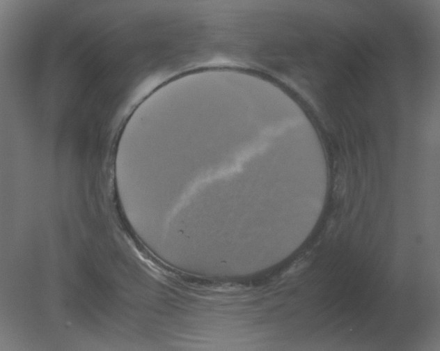 X0000080761367200701122018