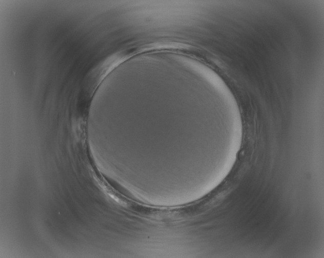 X0000080761369200701122018