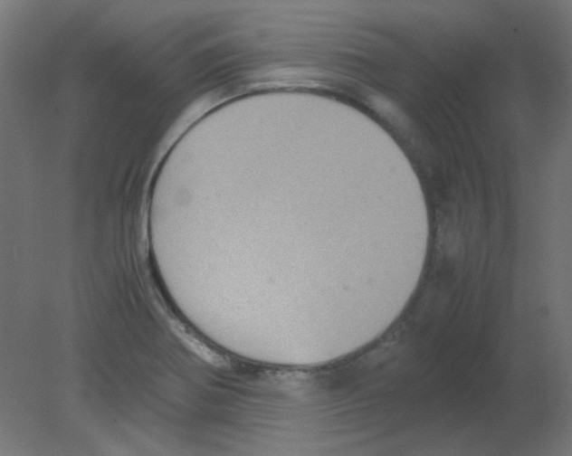 X0000080761370200701122018