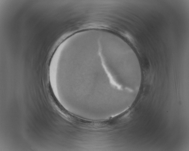 X0000080761371200701122018