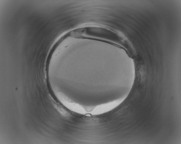 X0000080761372200701122018