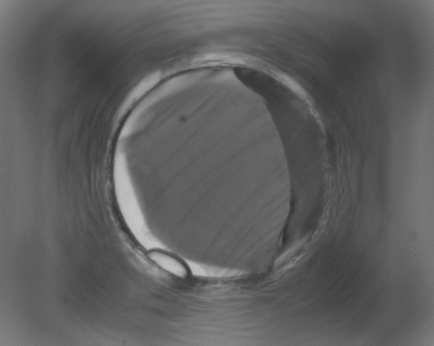 X0000080761373200701122018