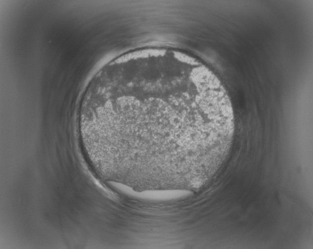 X0000080761375200701122018