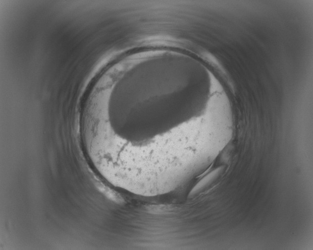 X0000080761376200701122018