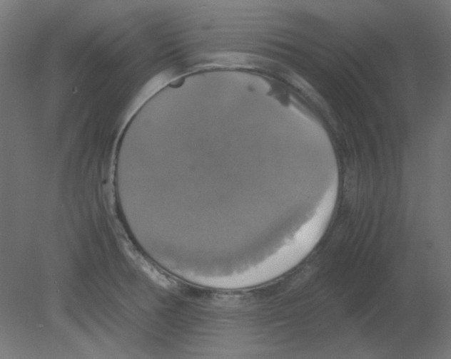 X0000080761378200701122018