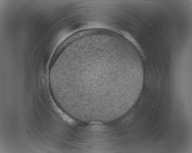 X0000080761380200701122018