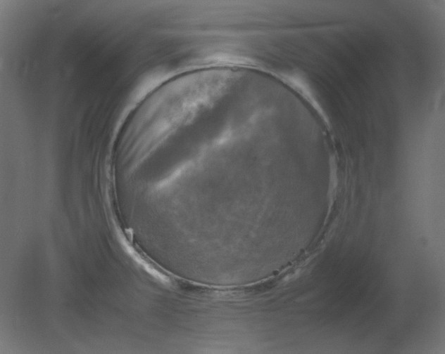 X0000080761381200701122018