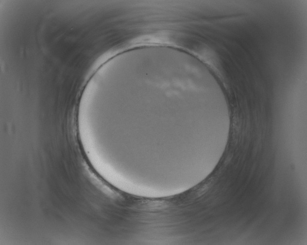 X0000080761382200701122018