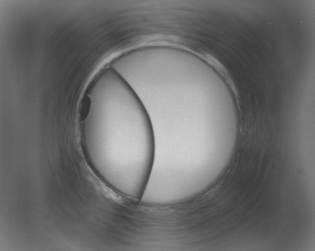 X0000080761384200701122018