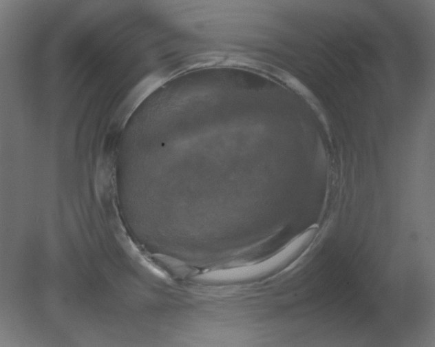 X0000080761385200701122018