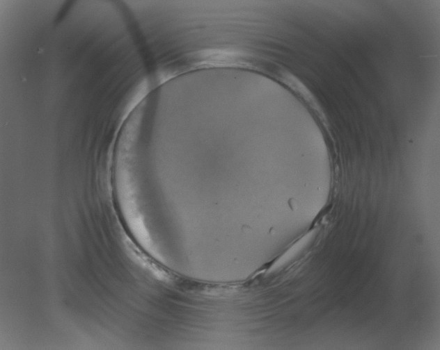 X0000080761386200701122018