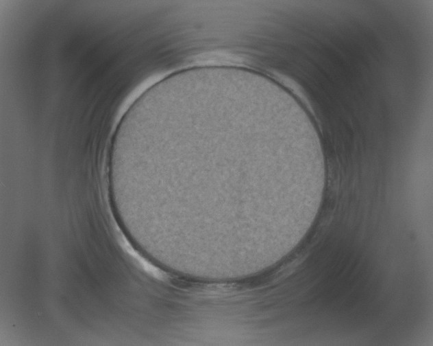 X0000080761387200701122018