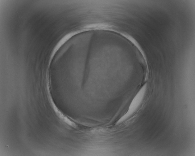 X0000080761389200701122018