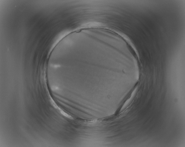 X0000080761390200701122018