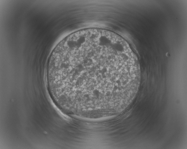 X0000080761391200701122018