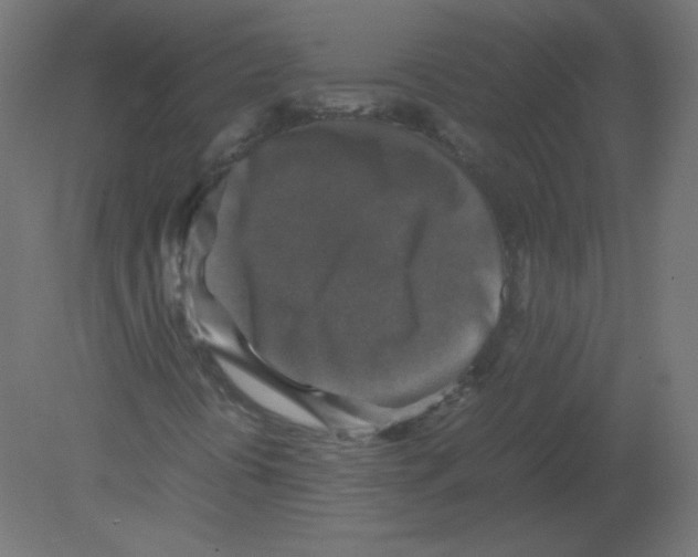 X0000080761394200701122017