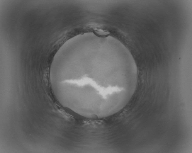 X0000080761397200701122017
