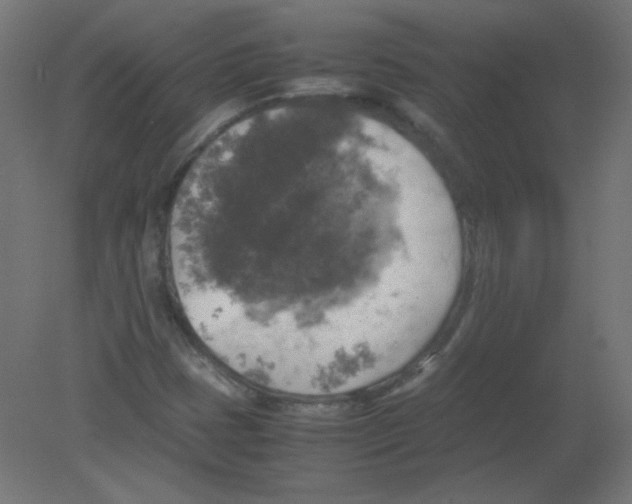 X0000080761401200701122017