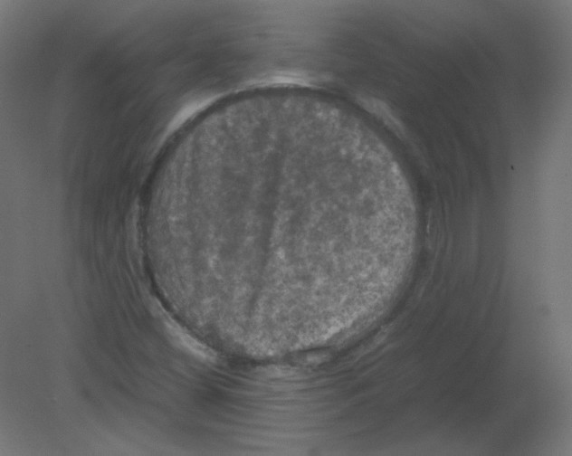 X0000080761404200701122017