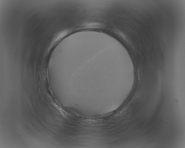 X0000080761405200701122017