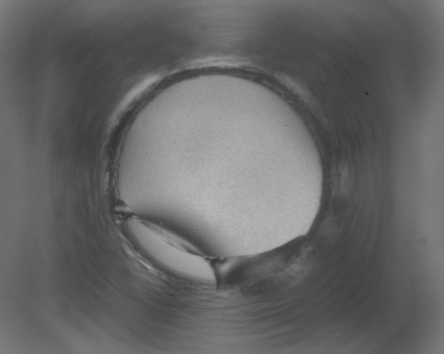 X0000080761406200701122017
