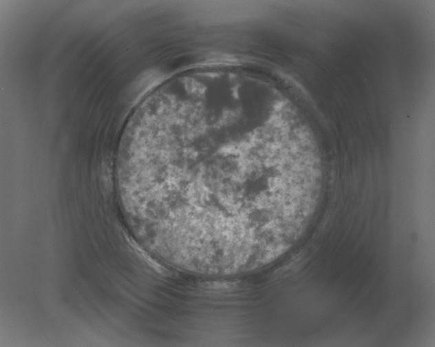 X0000080761409200701122017