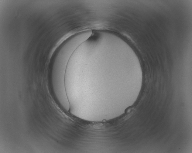 X0000080761410200701122017
