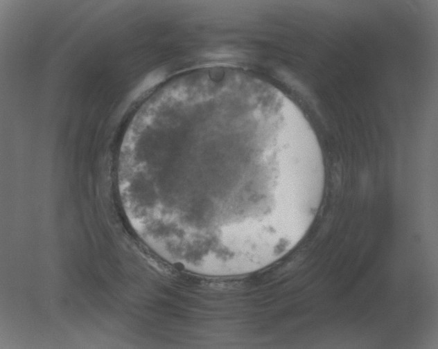 X0000080761411200701122017