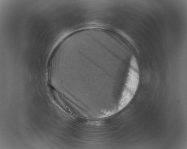 X0000080761415200701122017