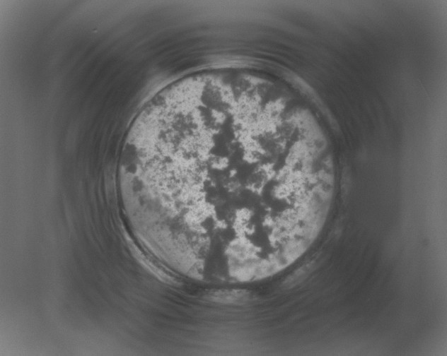 X0000080761417200701122017