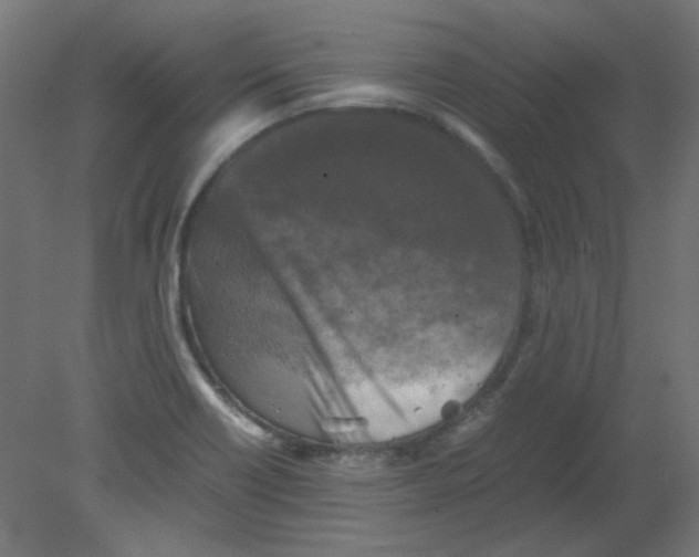 X0000080761418200701122017
