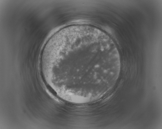 X0000080761421200701122017