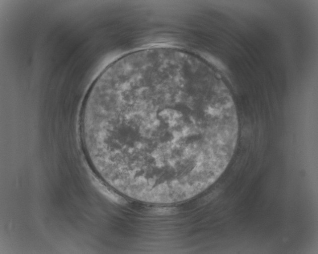X0000080761423200701122017