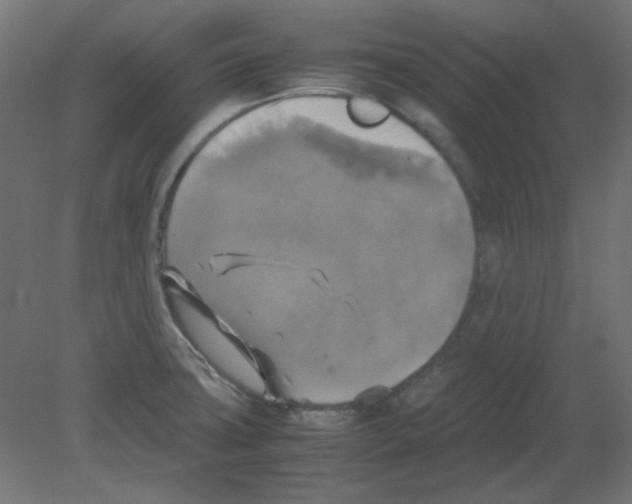 X0000080761427200701122017