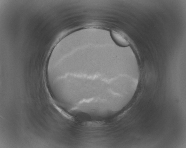 X0000080761429200701122017