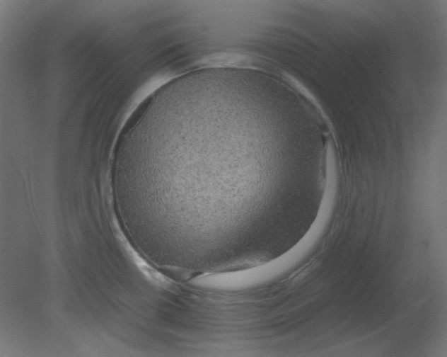 X0000080761434200701122018