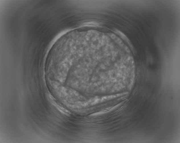 X0000080761435200701122018