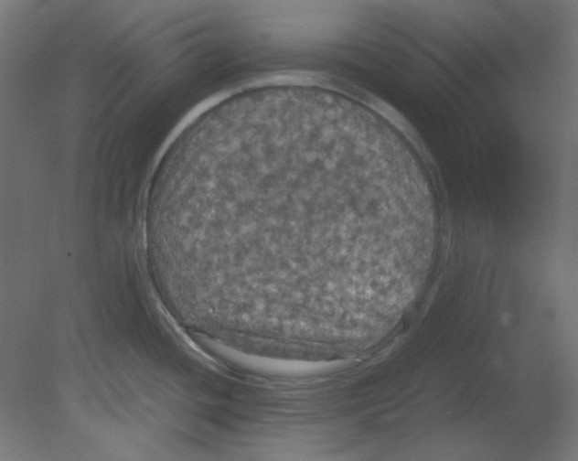 X0000080761436200701122018