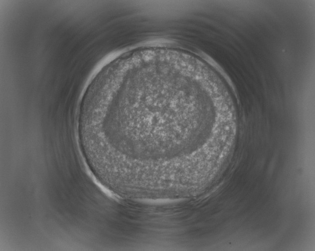 X0000080761437200701122018