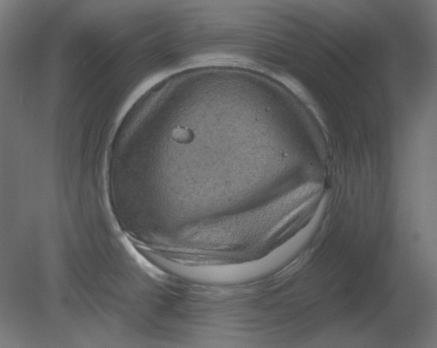 X0000080761438200701122018