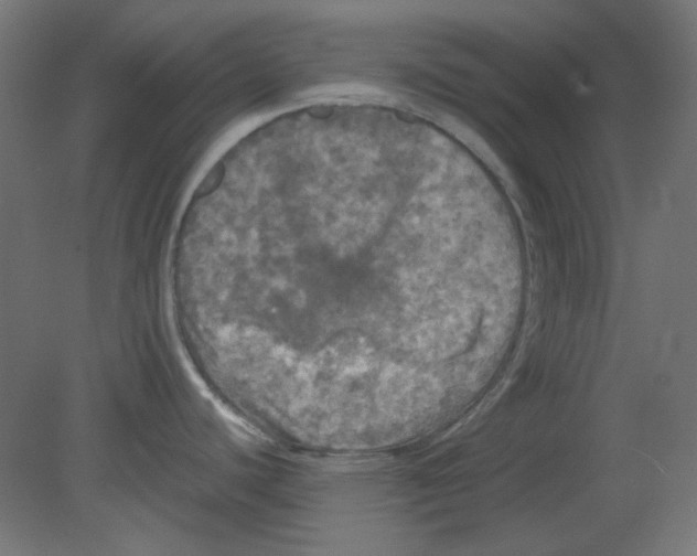 X0000080761440200701122018